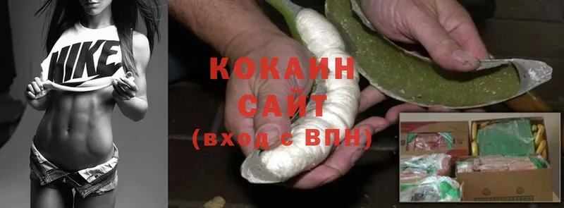 КОКАИН Fish Scale  Ардатов 